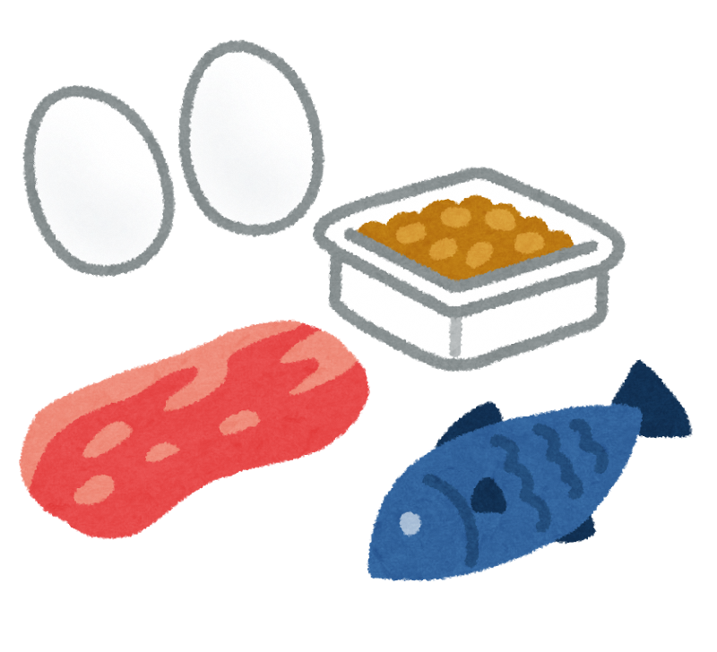 玉子、肉、魚、納豆のイラスト