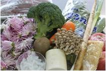 食用菊、ブロッコリー、大根、シメジ等の食材が並んでいる写真