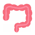 大腸