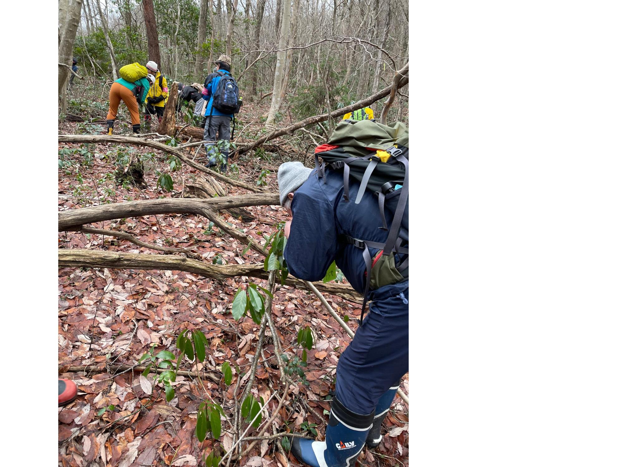 国上山ネイチャーウォークの様子