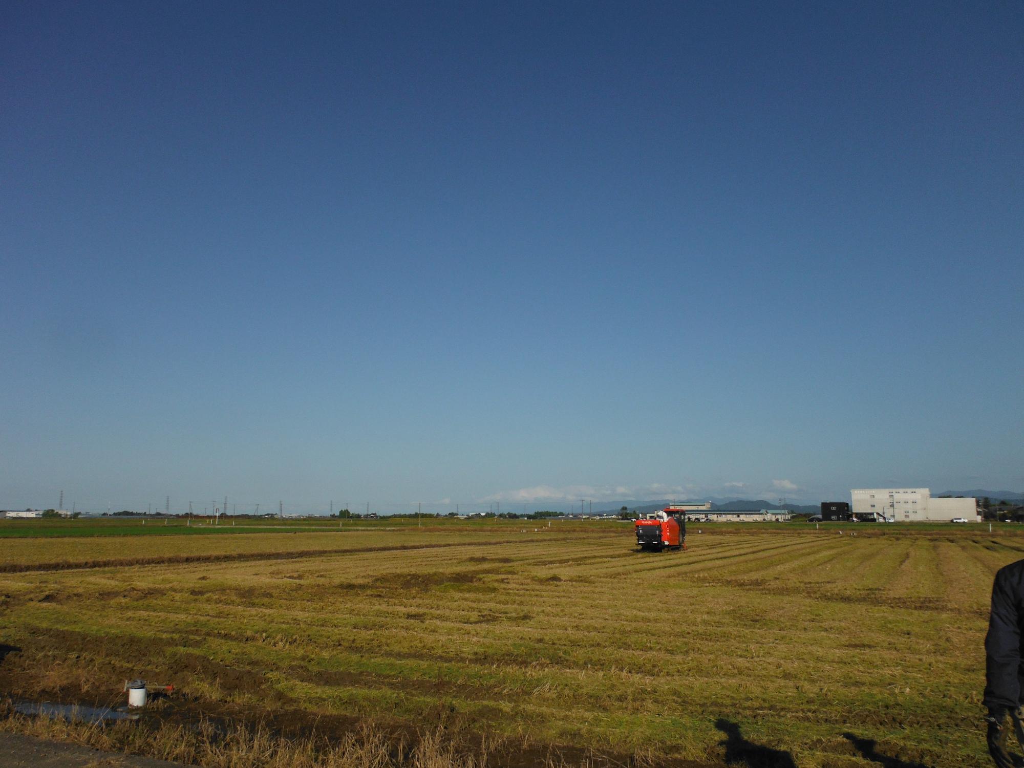収穫作業が完了した圃場