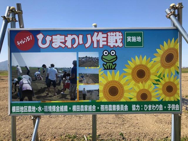 チャレンジ、ひまわり作戦実施地、横田地区農地・水・環境保全組織運営委員会、協力ひまわり会、子供会で実施の風景やヒマワリのイラストが描かれた看板の写真