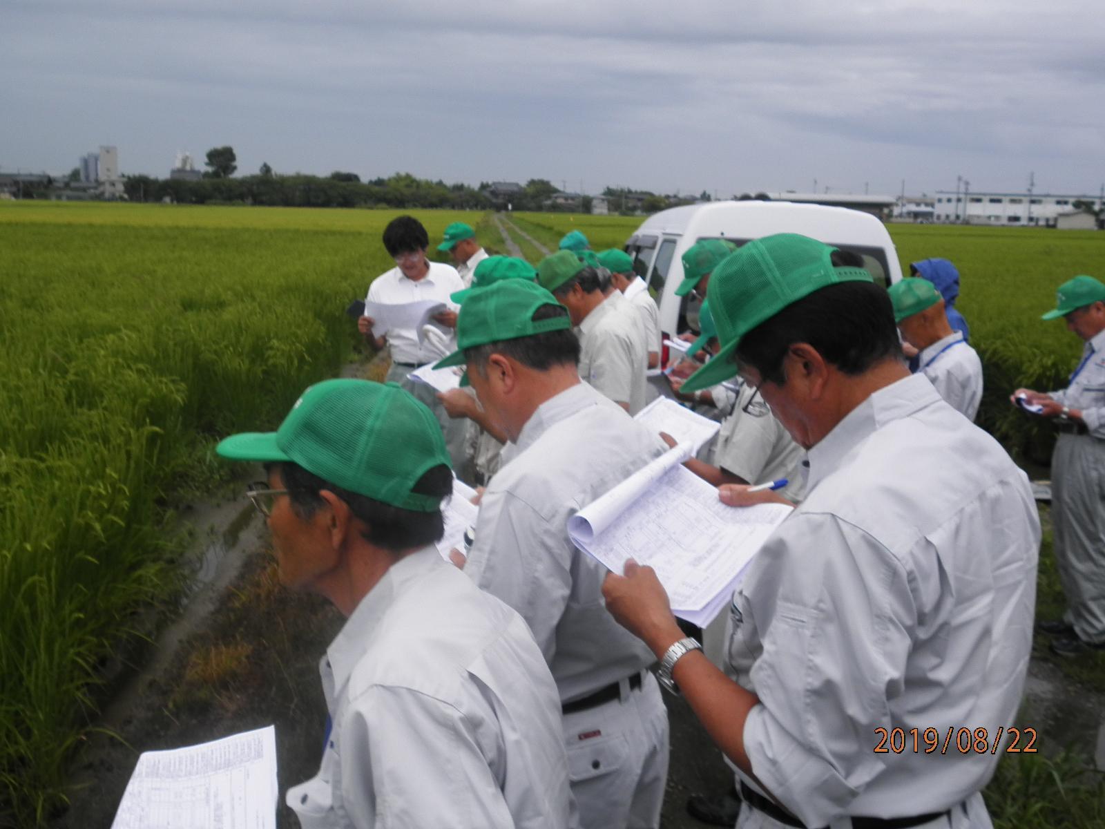 資料に目を通しながら圃場で今年の米の生育状況を調査する作業着姿の委員の様子