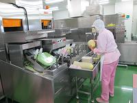 ピンクの服を着た作業者が、食器を洗浄機に入れる作業をしている写真