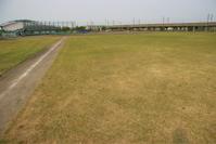 地面が芝生になっている野球場の写真