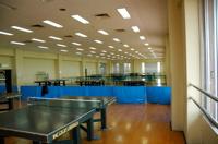 青い仕切りが設けられたスペースに卓球台が設置されている卓球場の写真