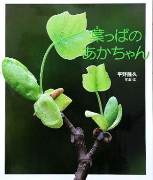 木の枝から生えている葉っぱが映された写真絵本「葉っぱのあかちゃん」の表紙