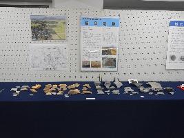 稲葉遺跡で発掘された出土品が展示された様子