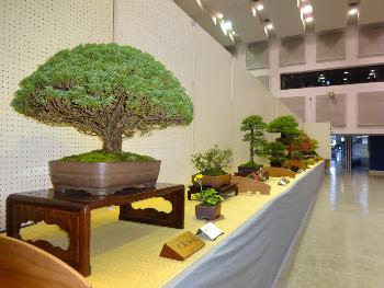 分水公民館_秋の文化展2021_2