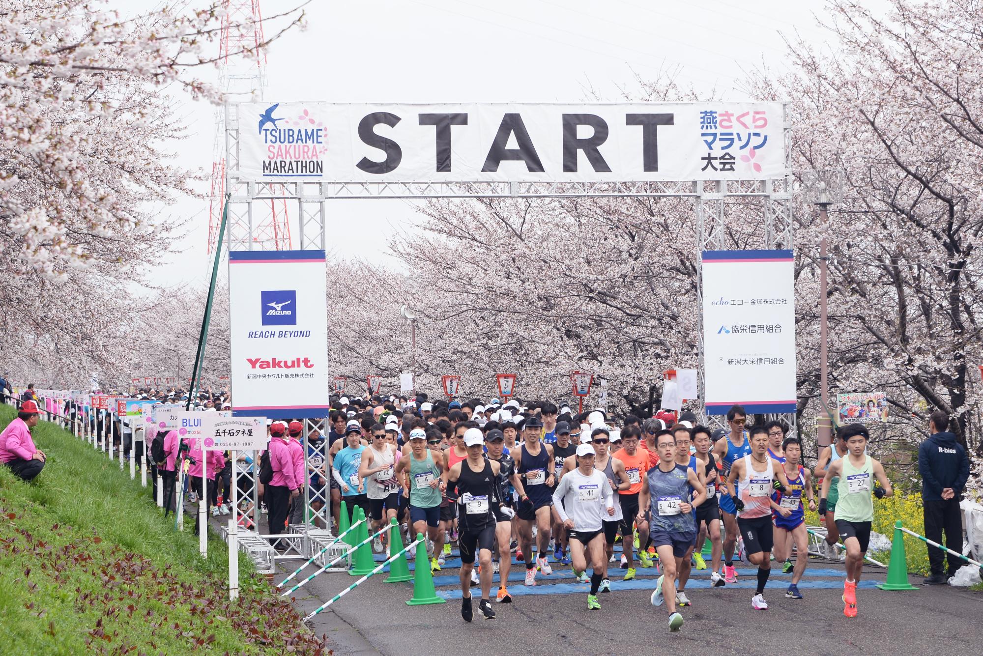 第36回燕さくらマラソン大会の様子