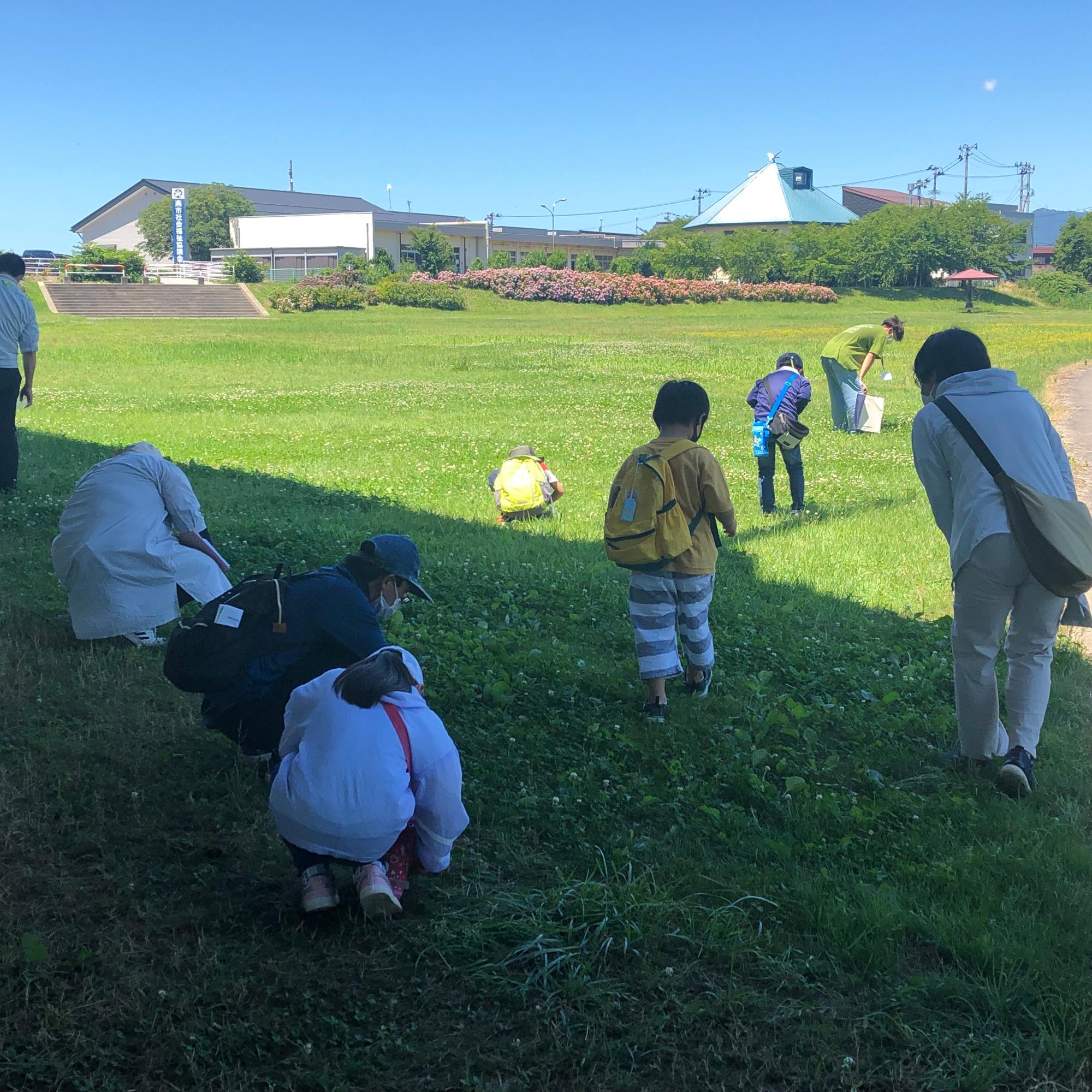 みんなで四つ葉のクローバーさがし