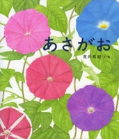 あさがお_表紙