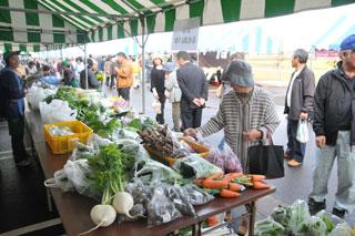 テーブルに並んだ様々な種類の野菜を見ている人たちの写真