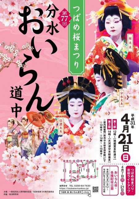 「つばめ桜まつり 第77回 分水おいらん道中」のポスター