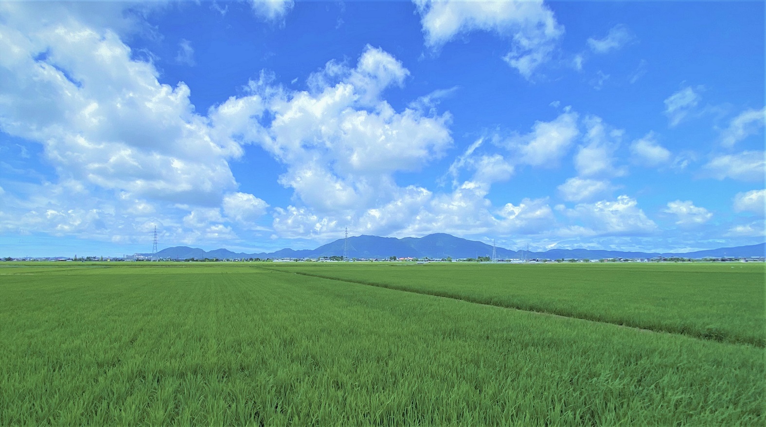 青空と田園風景の中に写る国上山と弥彦山