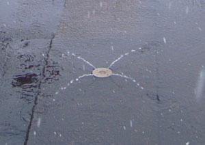道路に設置されている消雪パイプから水が吹き出している様子の写真