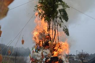 緑の葉がついた木の根元に集められたものを燃やして炎が上がっている中、ぶら下げたスルメを焼いている写真