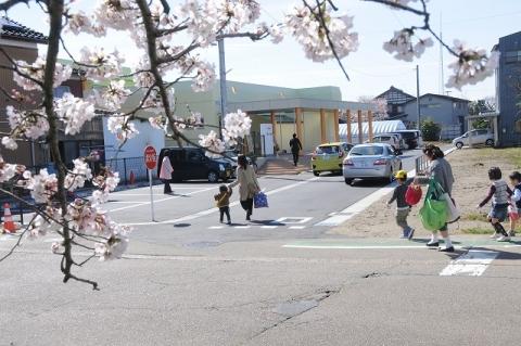 桜の枝を手前に、母と手を繋いで道路脇を歩く園児の写真