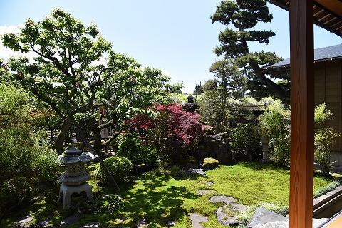 家から見た木の生い茂る庭の写真