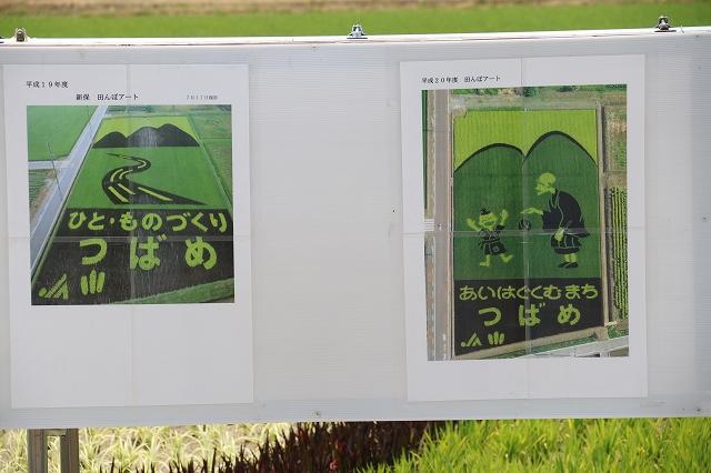 色の違う稲が出来る事を利用した田んぼアートの2作品のポスターを撮影した写真