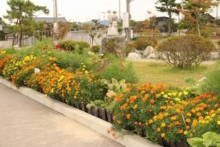 黄色、オレンジ、紫の花が咲いている吉田小学校の花壇の写真
