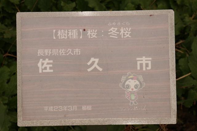 桜の産地が書かれた看板の写真