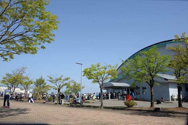 青空のもと行列を作っているマラソン参加者たちの様子の写真