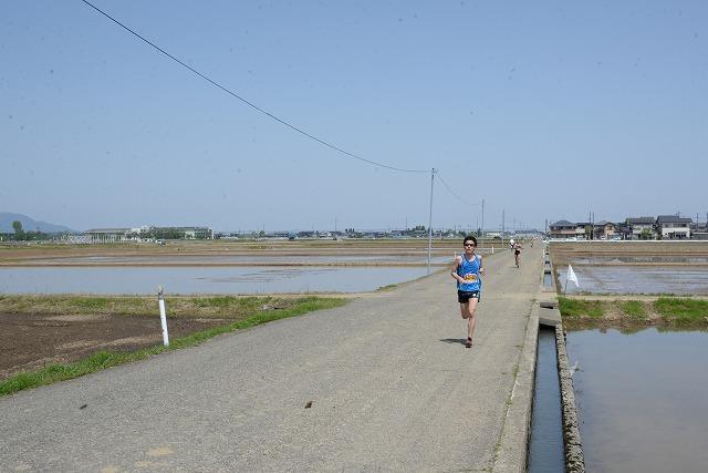 水田に挟まれた道を走っているランナーの様子の写真