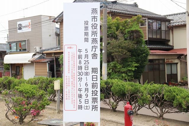低木の植え込みの中に、「燕市役所燕庁舎 期日前投票所」と書かれた看板が立てかけられている写真