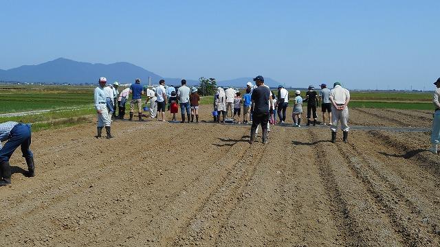 休耕田に一列に並んで種を植えようとしている参加者の皆さんの写真