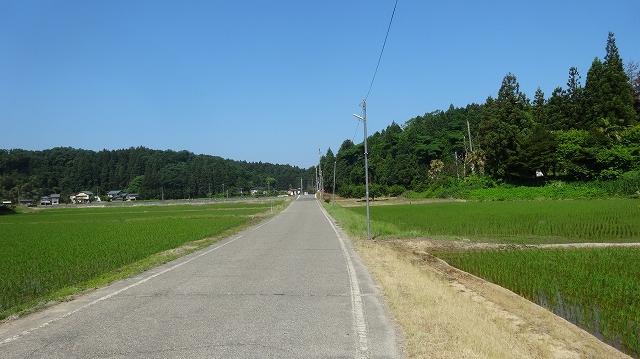 両側が田んぼに挟まれたまっすぐな道路の写真