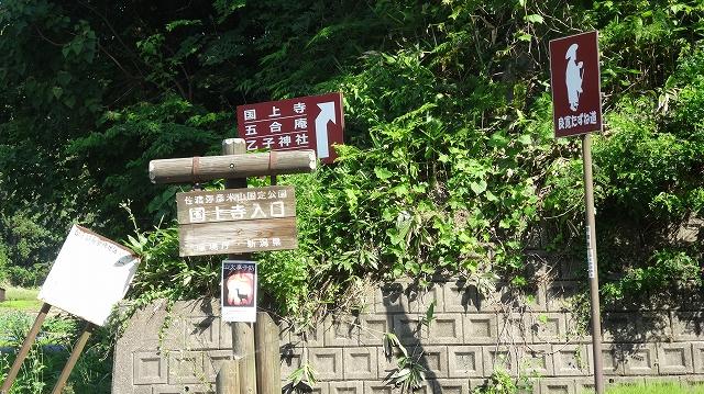 森の前にある国上寺入り口と書かれた看板の写真