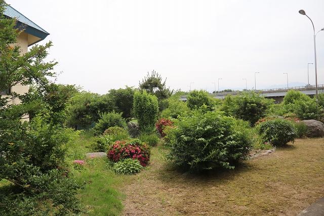 緑が溢れている庭の様子の写真