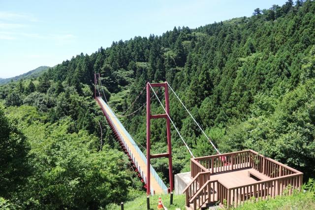 緑の木々に覆われた山の中に、あずき色のつり橋がかかっている写真