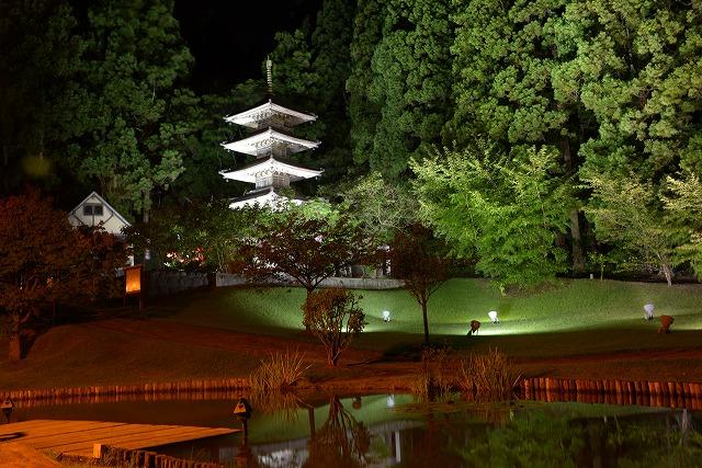 鬱蒼とした木々を背景に、五重塔が白くライトアップされている写真