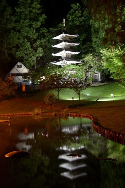 夜空の下に立つ五重塔が、手前の池に反射して映っている写真