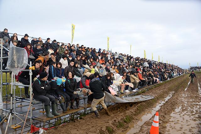 田んぼで黒いシートを引っ張って作業している男性の写真