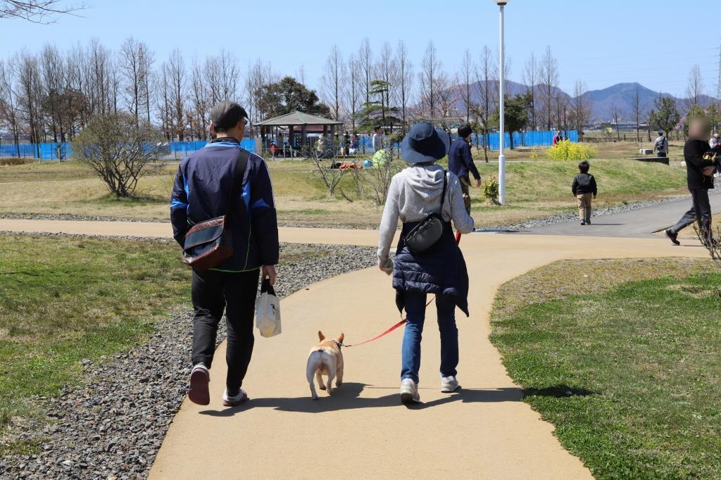 赤いリードで繋がれた犬と散策している夫婦の様子の写真
