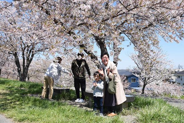 桜の木の下の沿道から応援している女性と子どもの写真