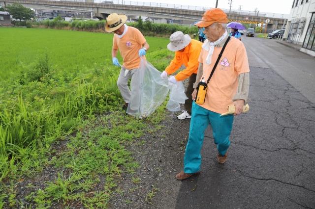 道路と草っ原の間に落ちているゴミを協力して回収している、老齢の参加者男女の写真