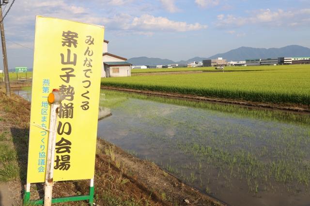 「みんなでつくる案山子勢揃い会場」と書かれた黄色い看板の写真