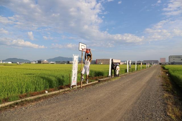 案山子が設置された田んぼ脇の道を遠景から撮影した写真