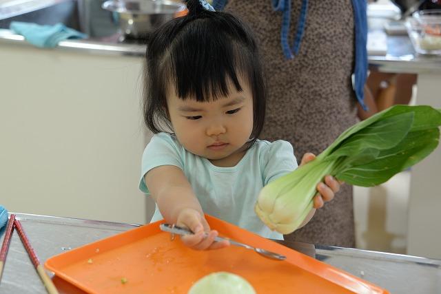チンゲン菜とスプーンを手に持っている幼児の写真
