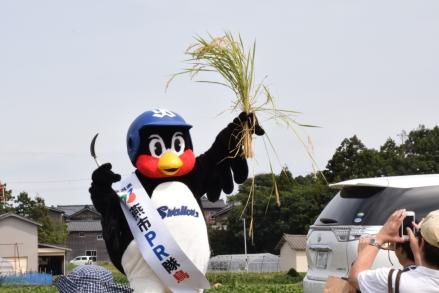 稲刈りをした記念写真を取られている東京ヤクルトスワローズマスコットキャラクターつば九郎の様子の写真