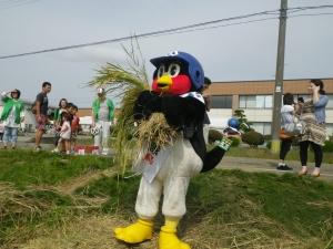 刈った稲を鷲掴みしている東京ヤクルトスワローズマスコットキャラクターつば九郎の写真