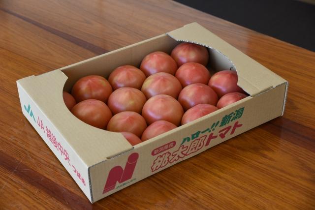 段ボールの箱にぎっしりと並んだ桃太郎トマトの写真