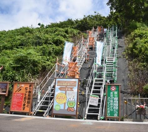 「えこみえ～る館」の外の高台に向けて緑の草木が生い茂る斜面に鉄パイプで組まれた階段と足場の写真