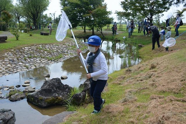 ビオトープの人工池の傍で虫取り網を構える青い帽子を被りマスクを付けた男の子の写真