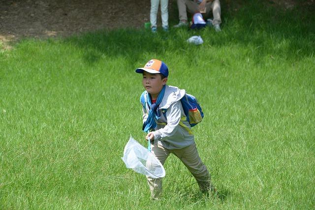 青々と茂る草原の中を虫取り網を構えて走る帽子を被った男の子の写真
