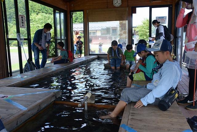 足湯につかる子供たちの写真